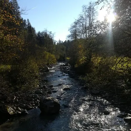 Larcher